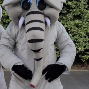 MR ELEPHANT