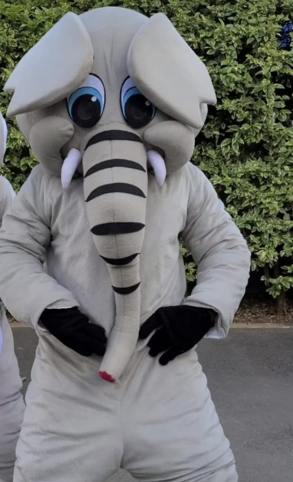 Hire Mr. Elephant the mascot in Kenya for birthdays, surprise deliveries, school parties, hospital visits, gender reveals, and product promotions.