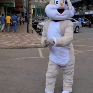 MR GREY BUNNY