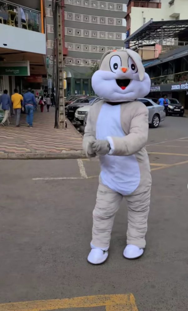 Hire Mr. Grey Bunny entertainer in Kenya for birthdays, surprise deliveries, school parties, hospital visits, gender reveals, and product promotions.