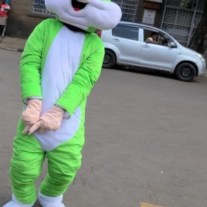 MR GREEN BUNNY
