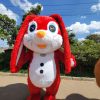 RED RABBIT